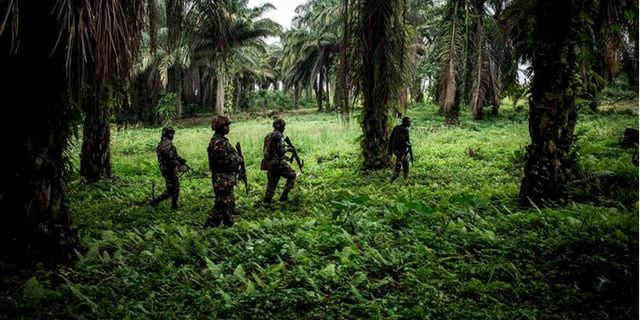 20 killed in DR Congo attack blamed on Islamic State group
nation.africa/africa/news/20…