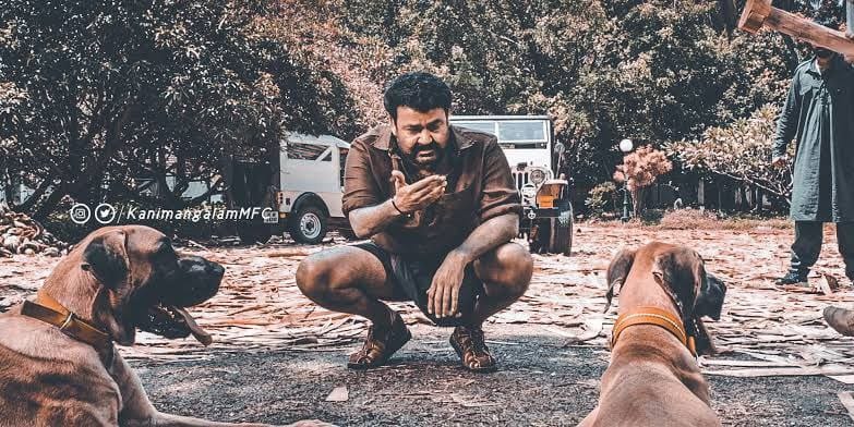 RITHUKESH7's tweet image. Keep an eye on the official pages for the #MalaikottaiVaaliban FL announcement and Easter wish poster that&apos;s reaching you soon! 

#Officialupdate