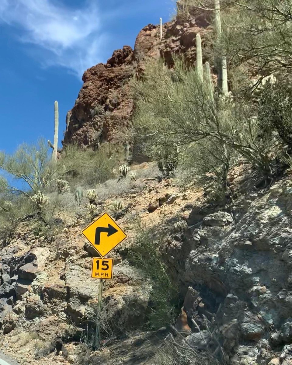 totallytucson's tweet photo. Happy Saturday, #Tucson! 80, sunny, and warm desert adventures on my hike today near #YetmanTrail and #GatesPass. Blooms in russet, purple, yellow and red. Ocotillos are independent spirits; some have incredible blooms, and yet mercurial leafy stems. @SaguaroNPS #spring #desert https://t.co/EnWRs2AlrD