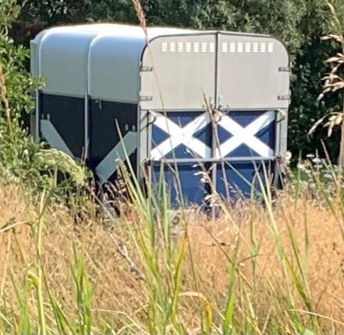 Stewart Weir tweet media