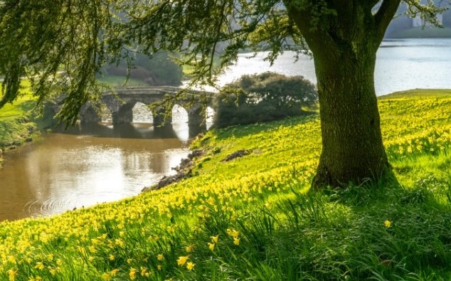 NRR69375898's tweet image. 💖" This is a #Day they will not speak,  nor will it be #permitted for them to make an #Excuse." 💖
(Al Quran, 7: 35,36)
#RamadanKareem 💞