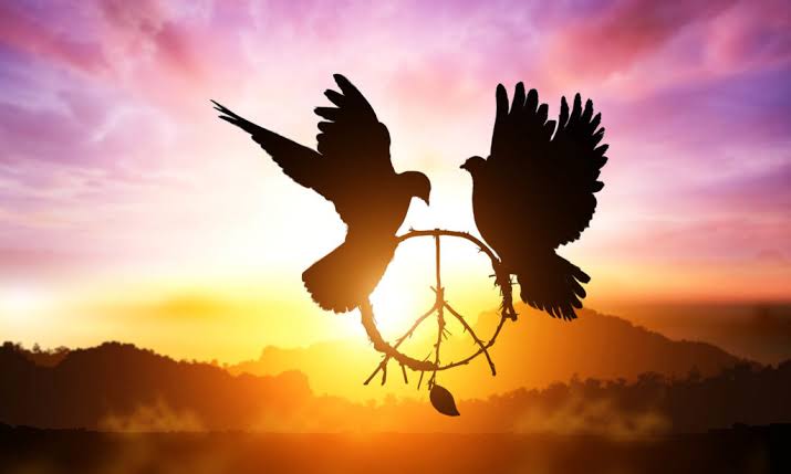 abdulnoor497's tweet photo. #IslamAhmadiyyat

Islam doesn't teach to shed the blood of innocent people, this great religion even teach us to show MERCY TO THE ENEMIES also.

And who tries to harm innocents, doesn't come in the boundary of Islam. https://t.co/nxLYglBsie