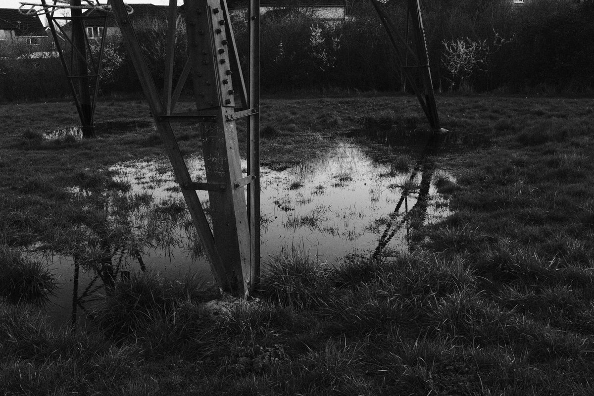 lewisbakerphoto's tweet photo. One Click From Home 

Taken a few days back after the rains 

#photography #documentaryphotography #documentyourlife https://t.co/u5bk6eYrhV
