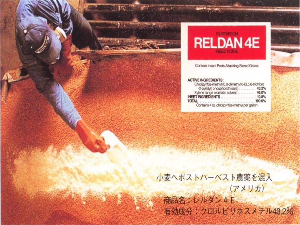 robono ishii on Twitter