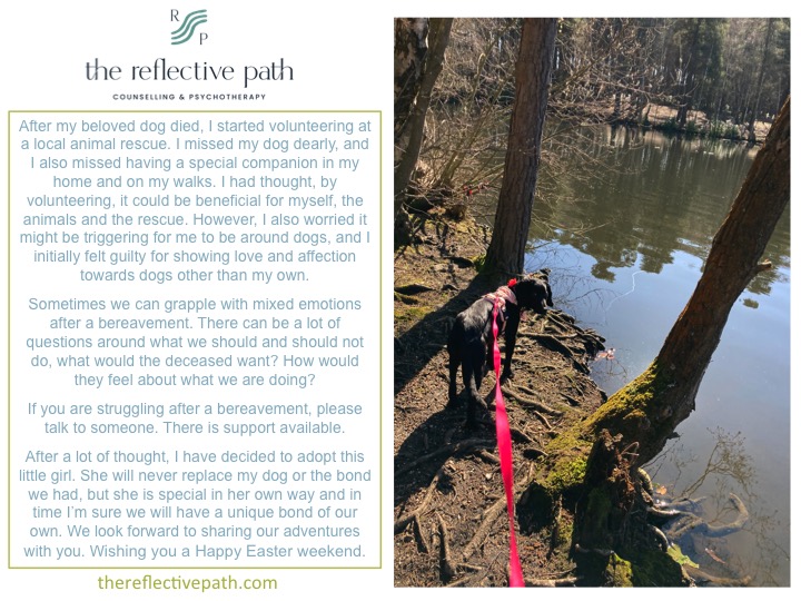 ReflectivePath's tweet image. 🐣🐇Happy Easter🌷