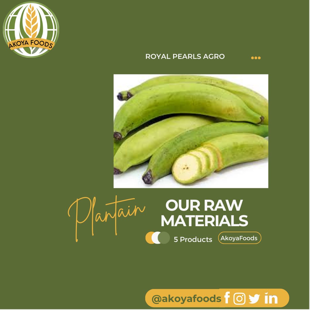 AkoyaFoods's tweet photo. Plantains are rich sources of complex carbohydrates, vitamins, and minerals.
.
.
.
#akoyafoods #royalpearlsagro
#glutenfreeflours #healthyfoods
#healthyalternative #plantainflour
#bakingflour #pancakes 
#swallow #africanfoods 
#africanstores #africanfoodstores https://t.co/32zt8OY4lf