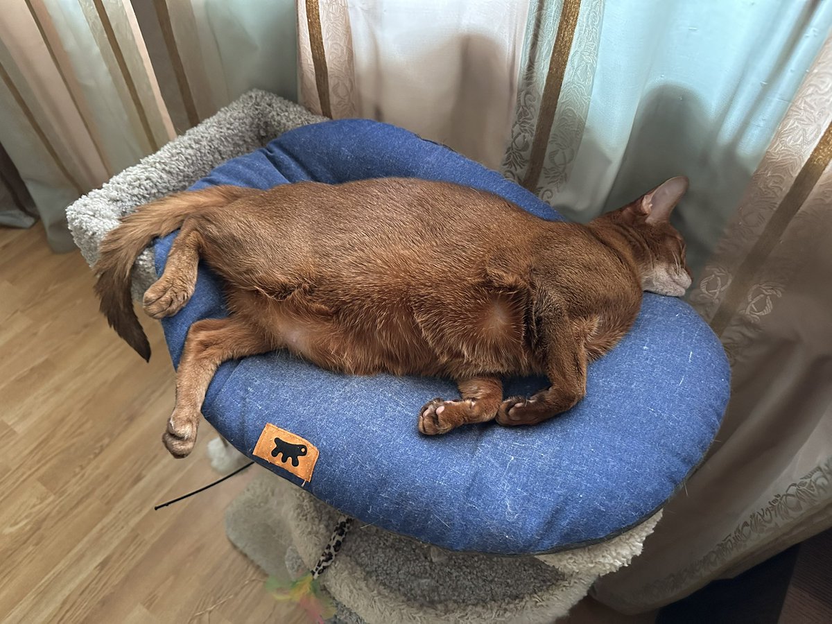 NRuzhin's tweet photo. Нам 13 лет🥳 https://t.co/oTQf8jRNvI