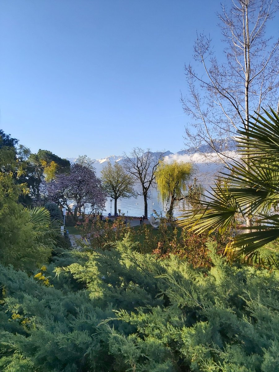 Fanélia tweet media