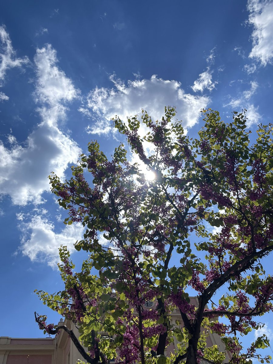 Happy Easter 

#puglia #HappyEaster #light