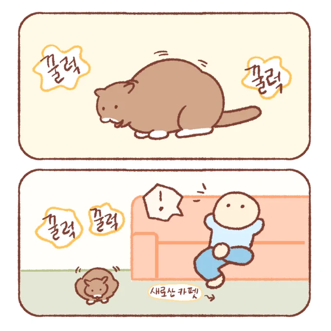 고양이 토.. 