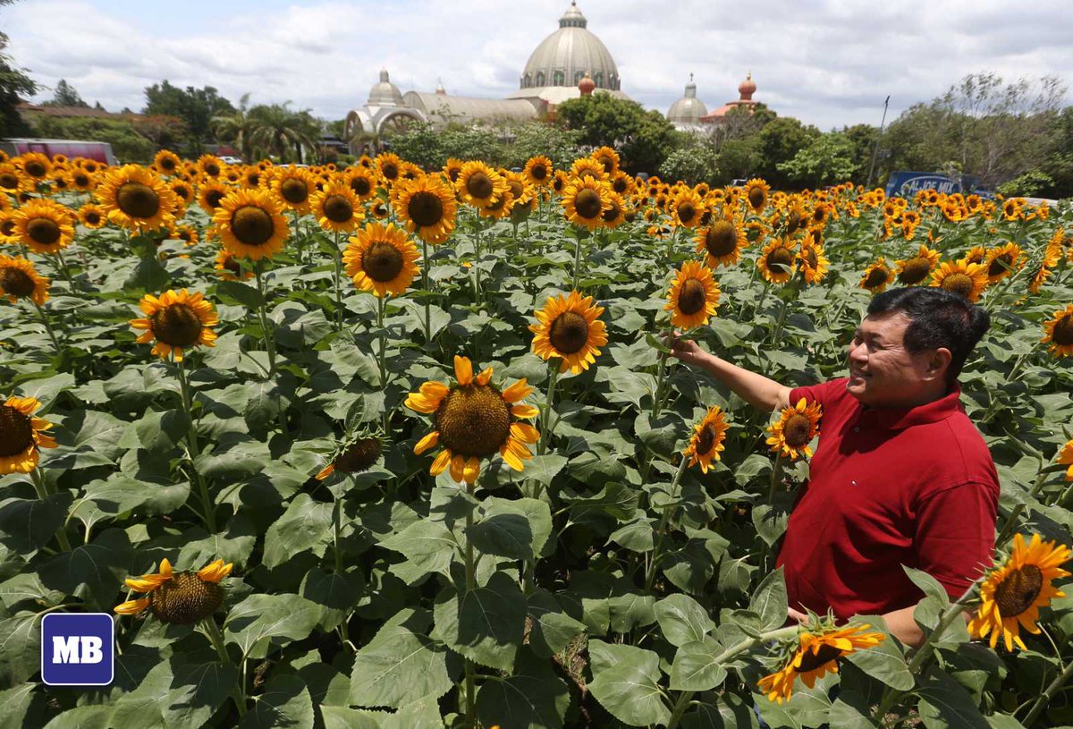 Manila Bulletin News on Twitter "LOOK Former Senate President, Manuel