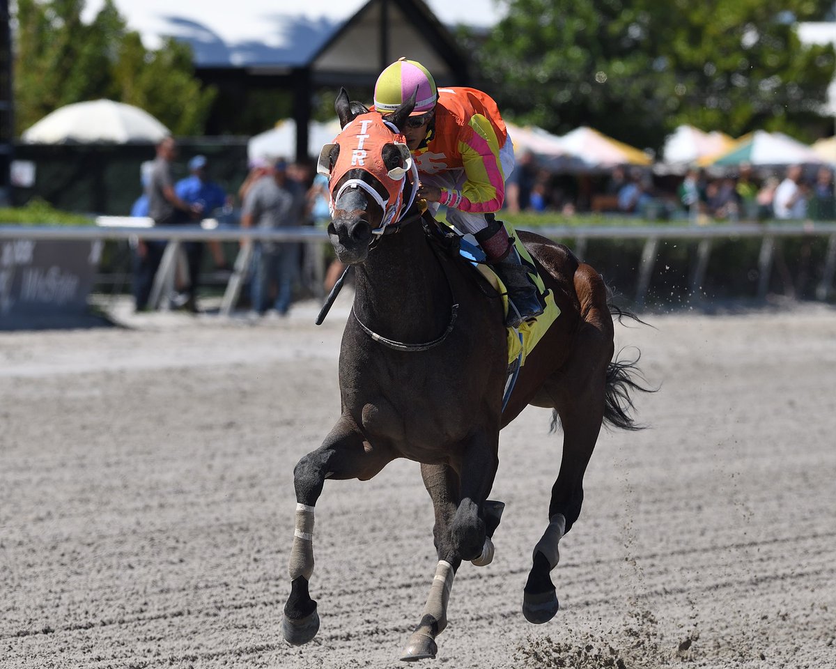 SaffieJosephJr's tweet photo. #9Apr Gran Andrews
Jockey: Edgard Zayas
Trainer: Saffie Joseph, Jr.
Owners: Mercy Man Racing / Ten Twenty Racing
Claiming $6,250 • Dirt
1️⃣ first victory for Saffie Joseph, Jr. #RoyalPalmMeet Saturday, April 08, 2023 #GulfstreamPark
📸 @coglianesephoto https://t.co/Q5tLQWtVBo