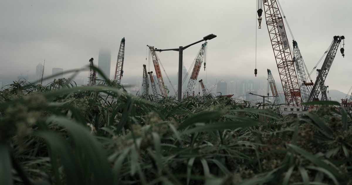 KarlYip0's tweet photo. #HarbourMemory 建築田地

Construction Field,HongKong-2nd Apr,2023
#香港 #HongKong #streetphotography #photography #維港光影 https://t.co/shxcJvzOpJ