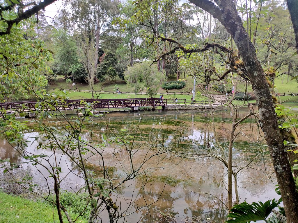 AnaMara1997's tweet photo. Parque tutucan #rionegro #Colombia #nature #lake https://t.co/aso1VQoxMN