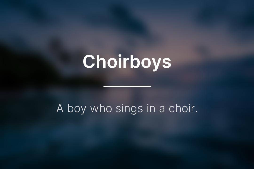 DailyDefPost's tweet image. Choirboys: A boy who sings in a choir.

#Choirboys #WordOfTheDay #DailyDefinition