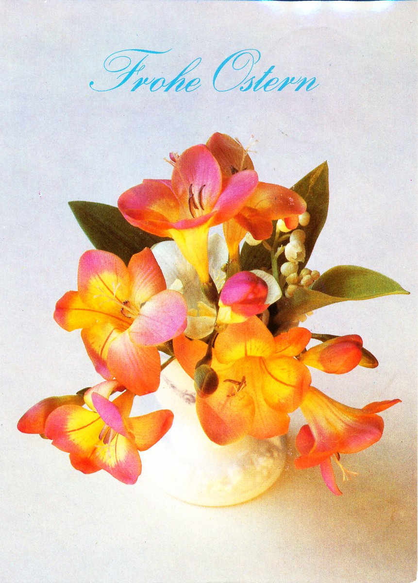 Forstler1's tweet photo. Eine Reise durch vergangene Zeiten. Postkarten mit Ostergrüßen, in einem Schuhkarton aufgehoben und nun wiedergefunden.

5/5 Ostergrüße aus den Achtzigern (DDR). Neutrale Blumengrüße. Die Blumen auf der rechten Karte hab ich aber in der DDR, außer auf dieser Karte, nie gesehen. https://t.co/acz5b3mdUG