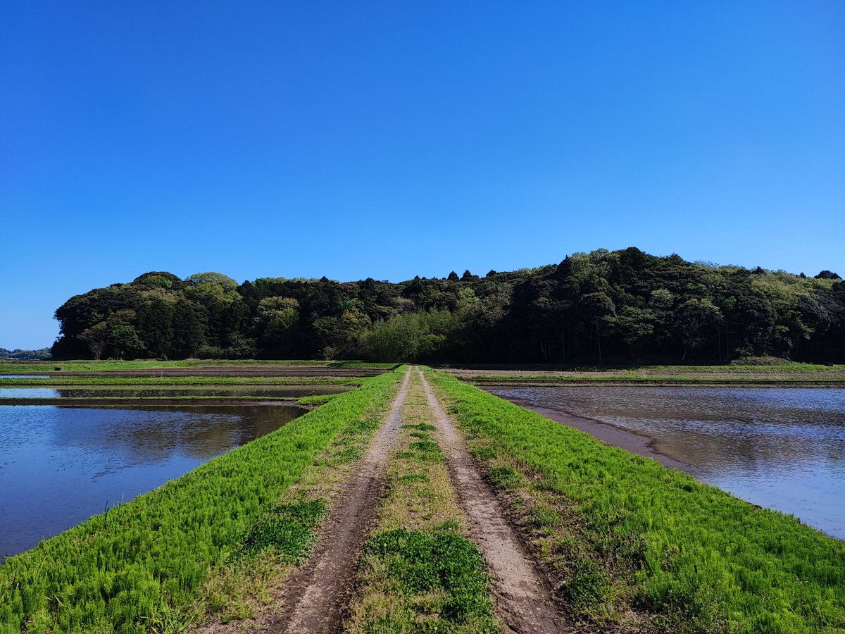 Madam_Fujiko's tweet photo. Rice paddies have started to be filled with water.✨

#INASHIKINEST #farminn #guesthouse 
#茨城県 #稲敷市 
#霞ヶ浦 #LakeKasumigaura #Ibaraki https://t.co/KlLIonD6CQ