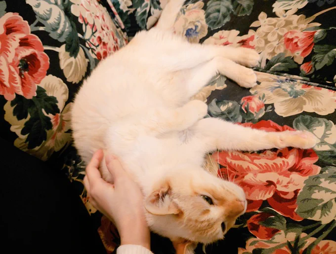 楽園 