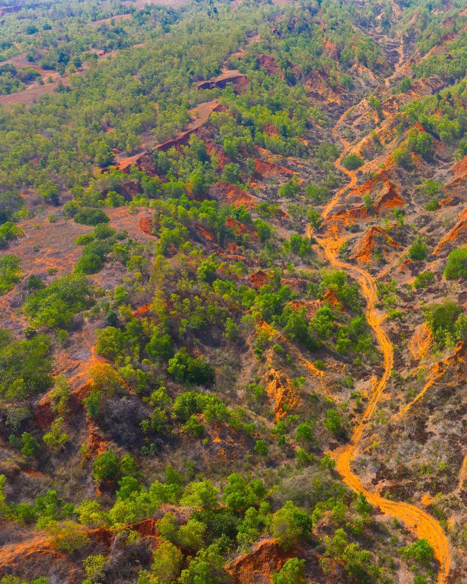 Praveen_nature's tweet photo. #ErraMattiDibbalu #RedsandHills #Redsoil #RedSandDunes #Nature #Naturelover #NatureBeauty #NaturePhotography #Beautiful #Vizag #Vishakapatnam #Andrapradesh #India https://t.co/5hwYMjzKiO