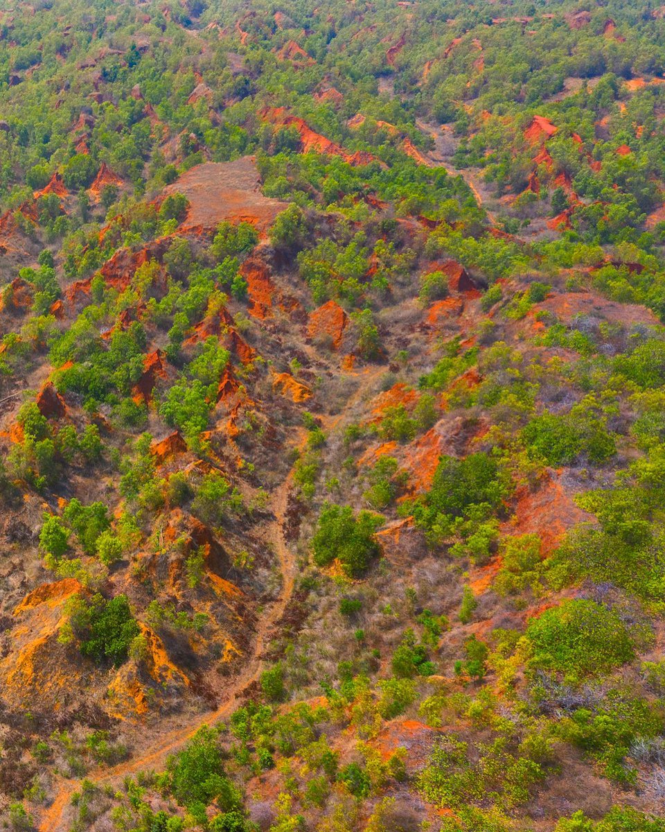 Praveen_nature's tweet photo. #ErraMattiDibbalu #RedsandHills #Redsoil #RedSandDunes #Nature #Naturelover #NatureBeauty #NaturePhotography #Beautiful #Vizag #Vishakapatnam #Andrapradesh #India https://t.co/5hwYMjzKiO