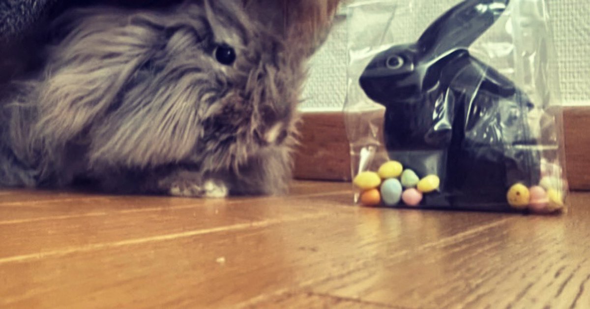 Joyeuses Pâques à tous 🫶✨ cc Yuki <a href="/palais_au/">AuPalais</a>