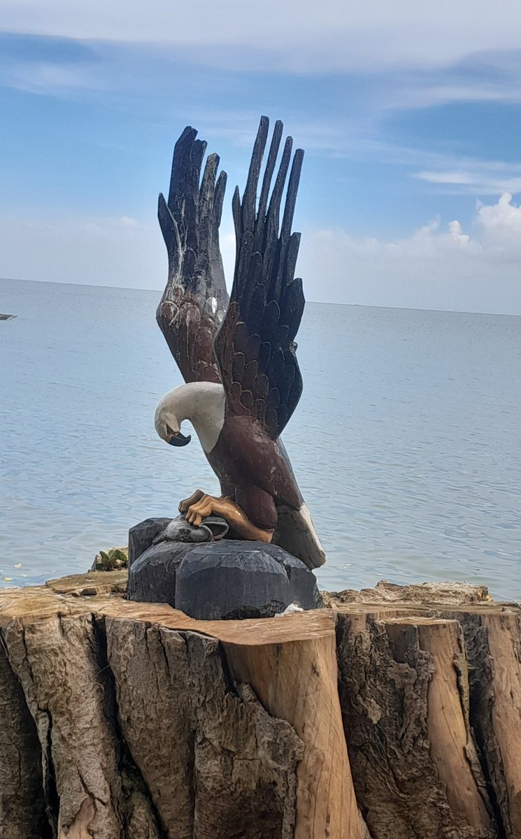 aomenya's tweet photo. Rusinga Island Resort. I loved your place, including this sculpture + celebration of indigenous trees. 😊 @silasjakakimba https://t.co/0TQBtz1agU