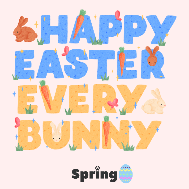 SpringPetsUK's tweet image. Happy Easter! 🐇