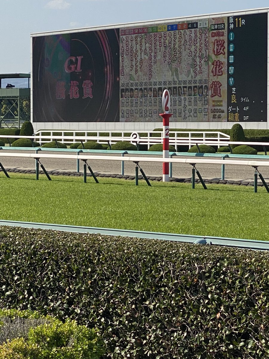 daiku618's tweet photo. 阪神競馬場❤️ https://t.co/cPnH3Aiubu