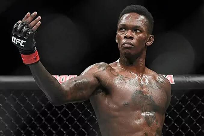 PulseNigeria247's tweet photo. Israel Adesanya reclaims the UFC middleweight belt after knocking out Alex Pereira https://t.co/YkdmryxO5W