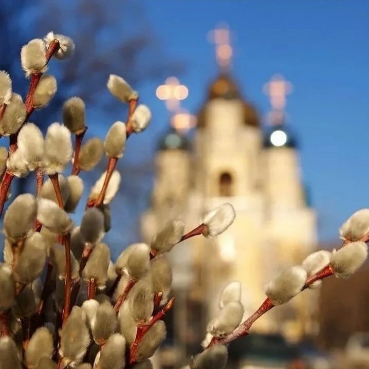 #ВербноеВоскресение