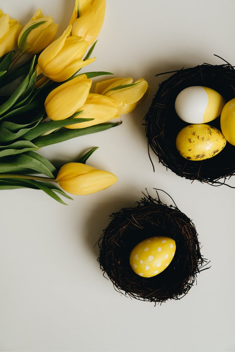 #buonapasqua da Interno16HolidayHome.com 

#interno16holidayhome 
#springholiday #eastereggs #tulipani #yellowisthenewblack #eastersunday #napoli #casavacanzenapoli #ioviaggioinitalia #visitnaples #uovadipasqua #domenicadipasqua #tulips #holidayhomeitaly #traveltoitaly #naples