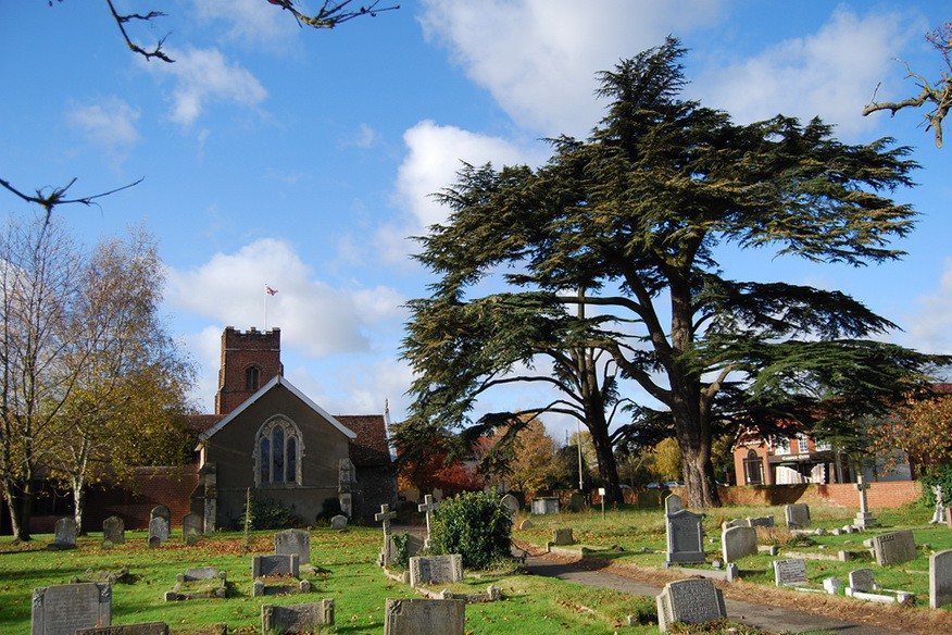 TheSuffolkMan's tweet photo. #GoodMorning #folks @keeper_of_books #Cemetrees @TheCemetress #Kesgrave #Church and #CedarTree on #EasterSunday #Suffolk https://t.co/OelwqYkanc