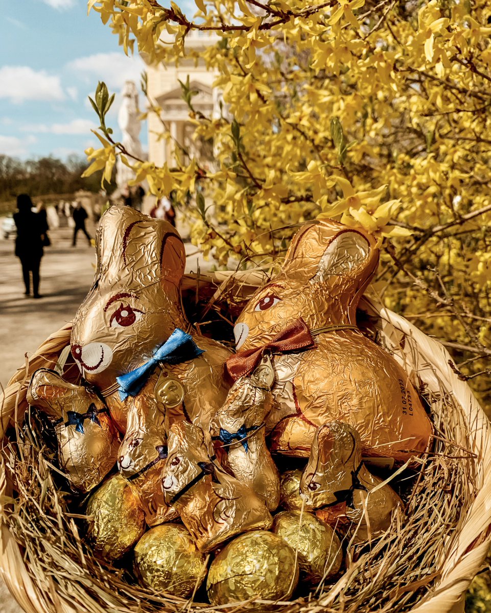 Schönbrunn Palace tweet media