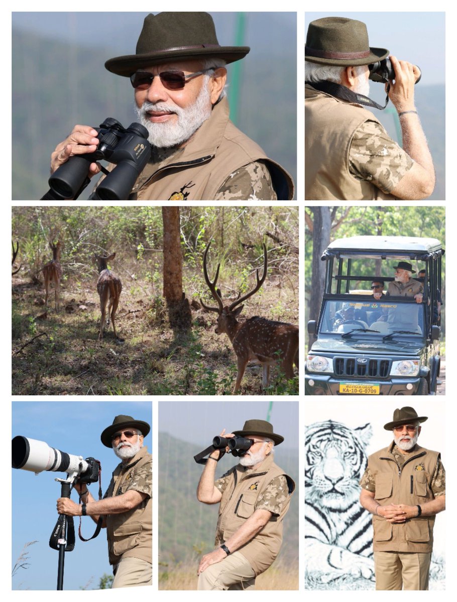 King LION Spent the morning at the scenic Bandipur TIGER Reserve and got a glimpse of India’s wildlife, natural beauty and diversity...
#NarendraModi 
#TigerReserve