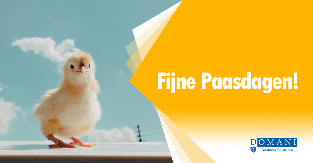 Domani Business Solutions tweet media