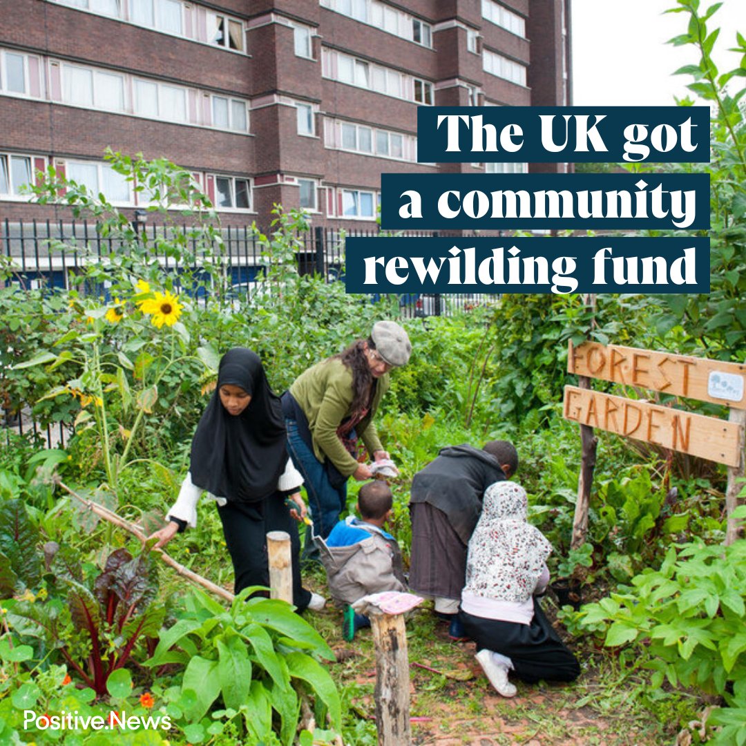 The Save Our Wild Isles Fund is making £1m available to support community schemes in the UK that boost nature.

Read more on this story, and find out what else went right this week: bit.ly/3Gm1LTk