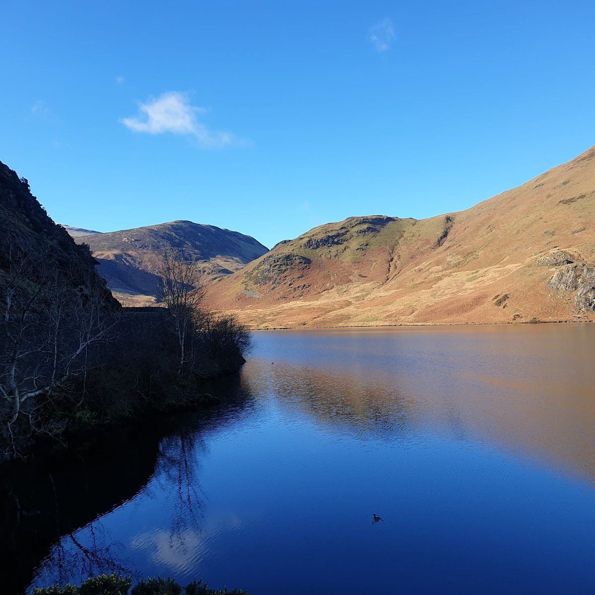 Happy Easter everyone.

The message of Easter is all about hope and a better tomorrow. We can all do with a bit of that. 

#happyeaster #thecoffeekitchenbakery