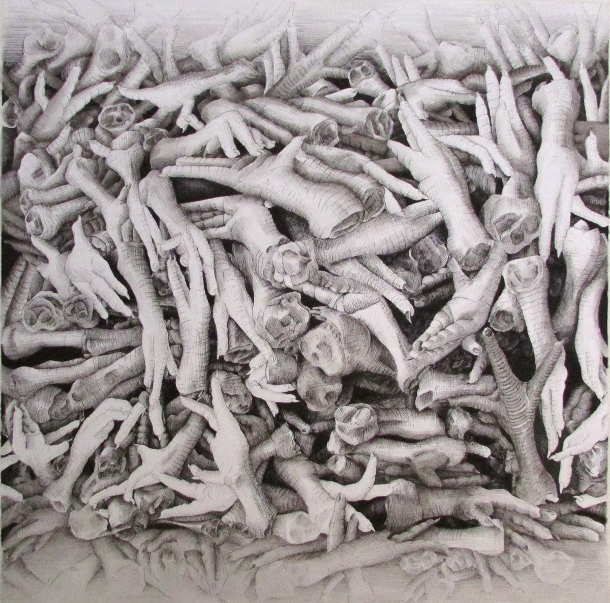 F.Pishvaee tweet media