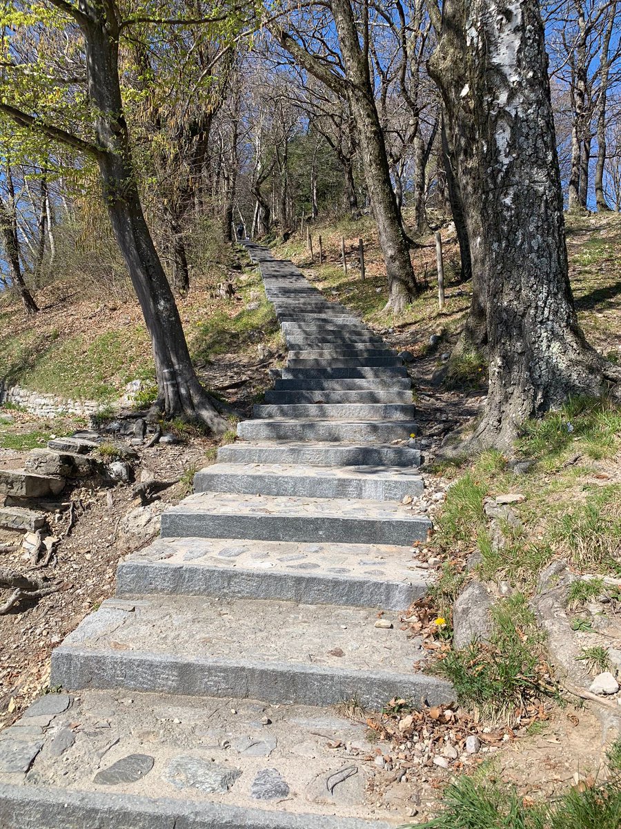 Weiss jemand wie viele Treppen es beim Abstieg der Bahnstation Monte Bré nach Monte bré Dorf hat?