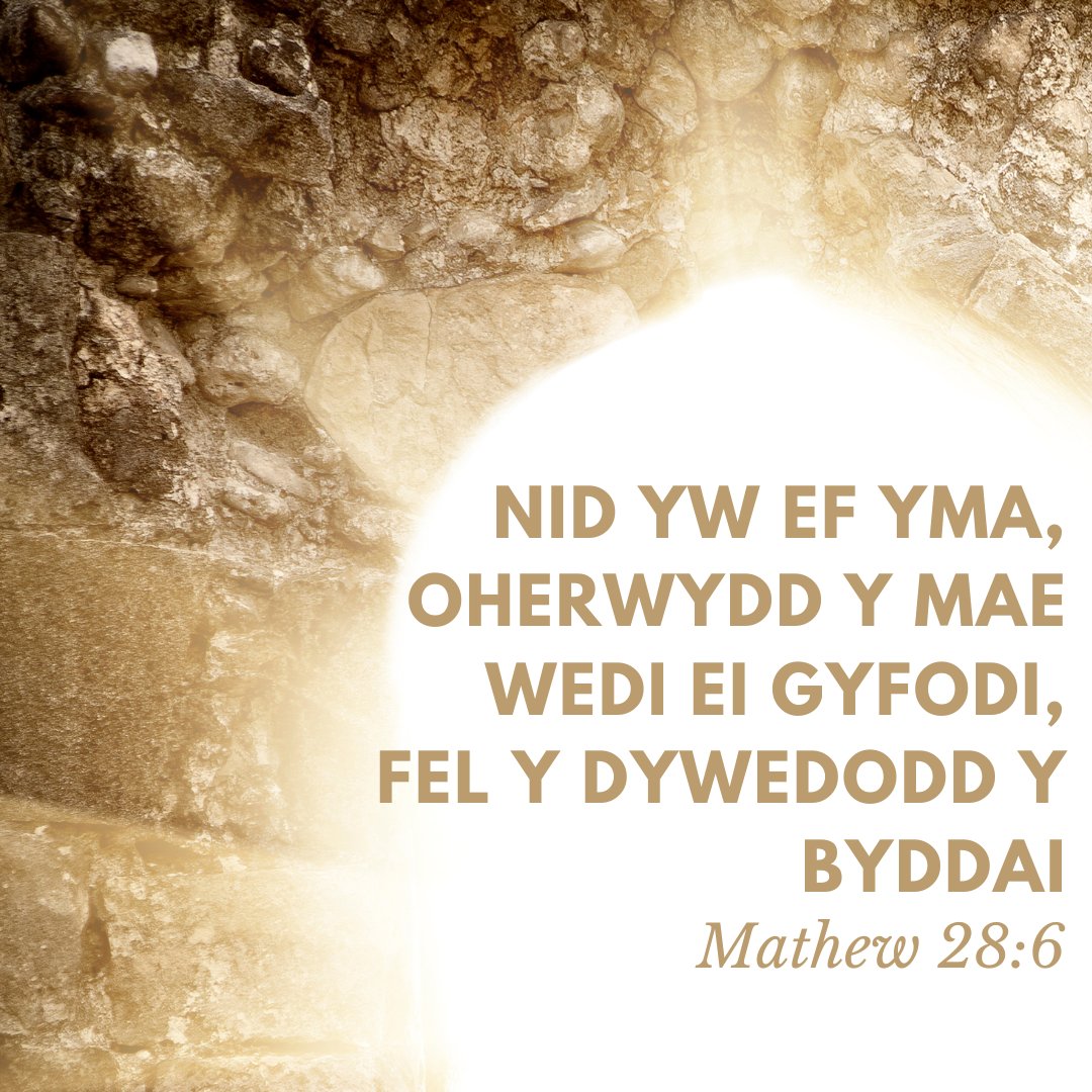 Mudiad Efengylaidd (@ymudiad) on Twitter photo 