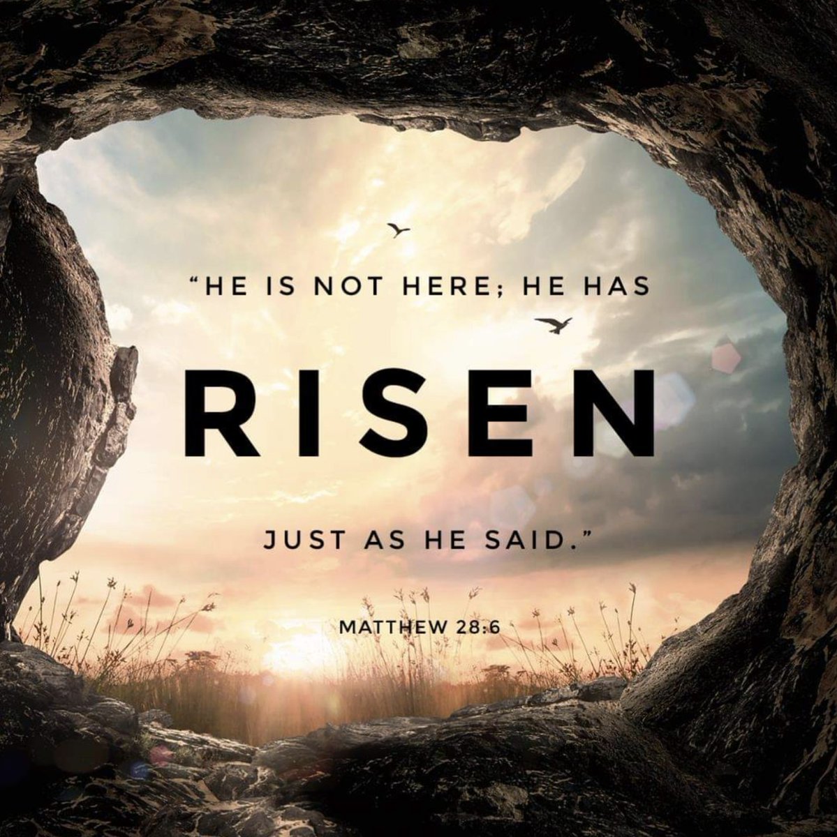 FBS Christian Ethos tweet media