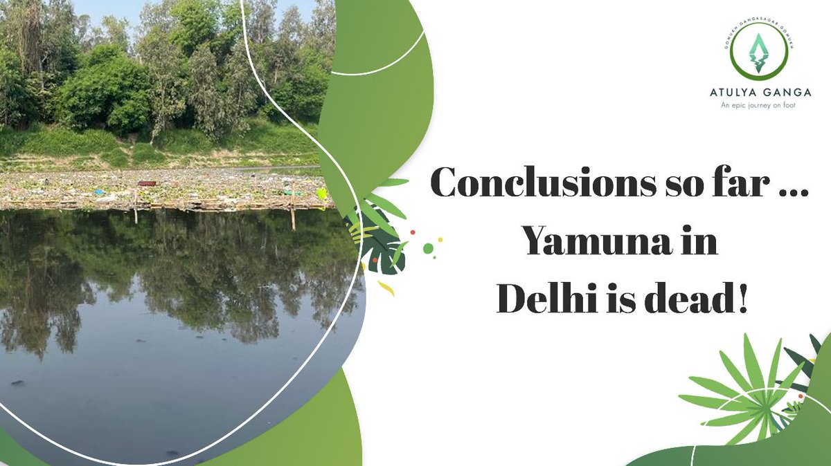AtulyaGanga's tweet photo. #Yamuna river in Delhi is DEAD!!!
.
.
Here's 👇🏻 all you need to know.
Follow @AtulyaGanga and support our initiative!
#pollution #pollutionmapping #HealthForAll #Health #healthplanet #savewater #saverivers https://t.co/zZUjULUBUD