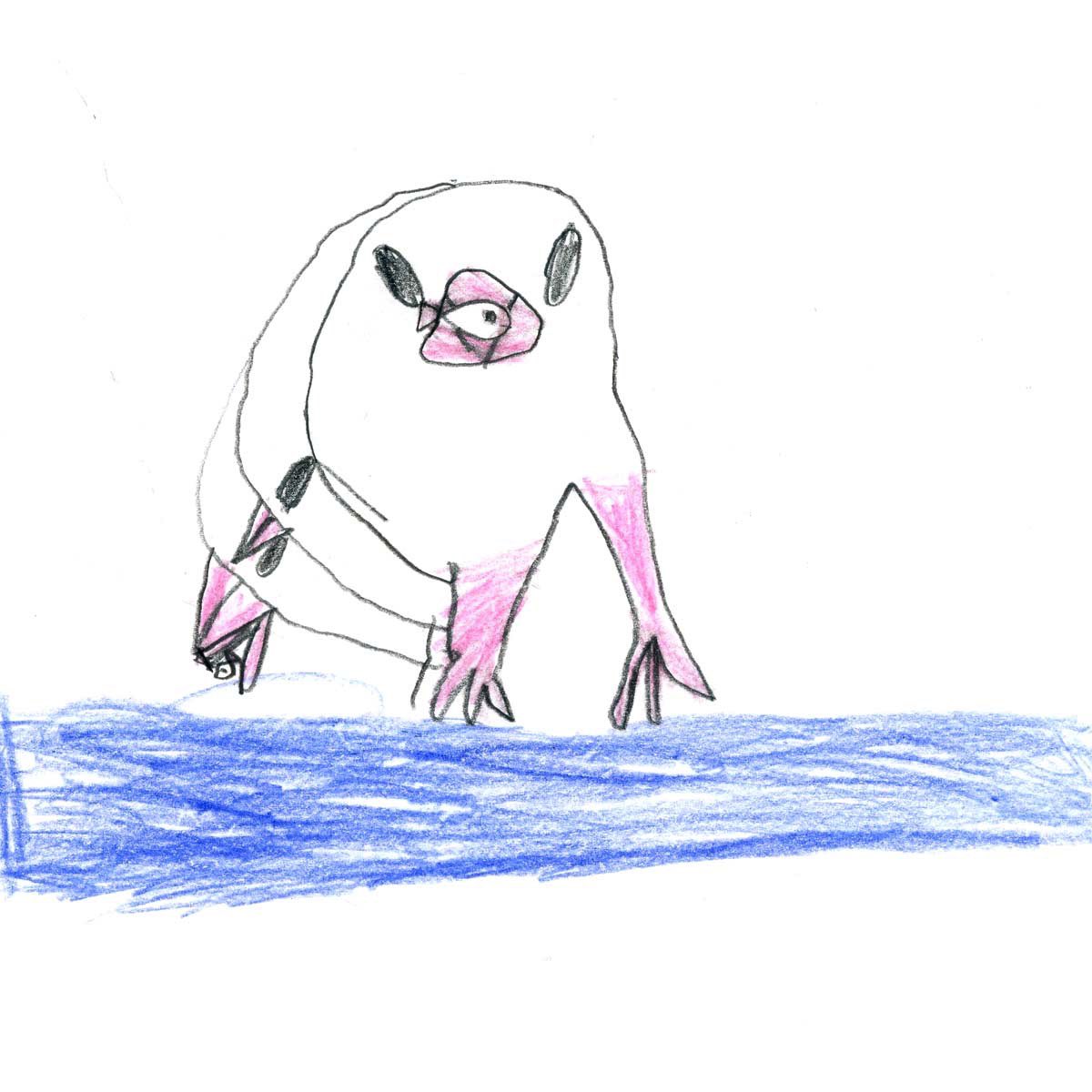 「6歳児作「文鳥が魚をつかまえて食べようとしているところ」「文鳥まねきねこ」 」|emiのイラスト