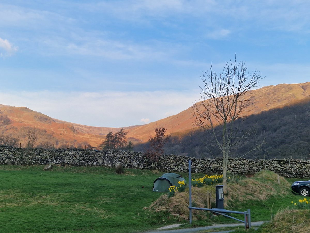 Jon Chamberlain tweet media