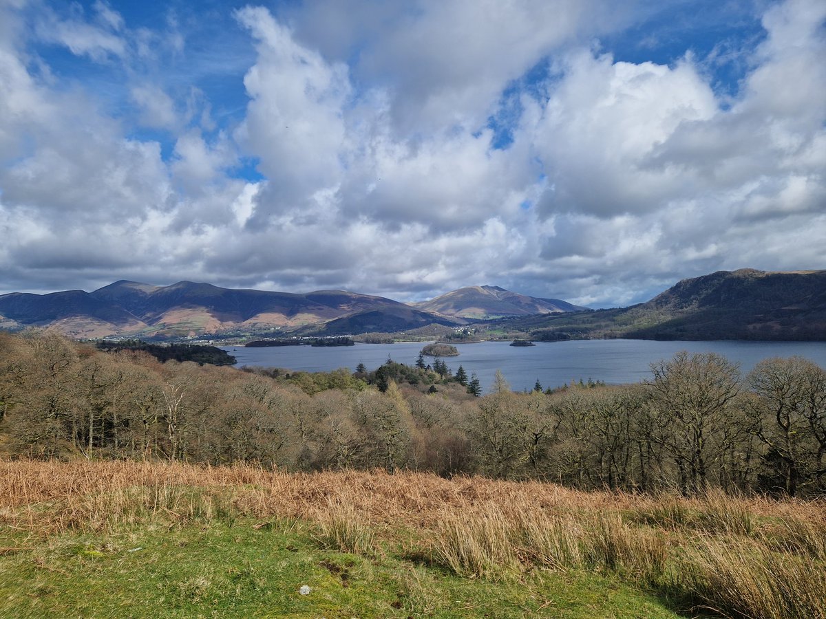 Jon Chamberlain tweet media