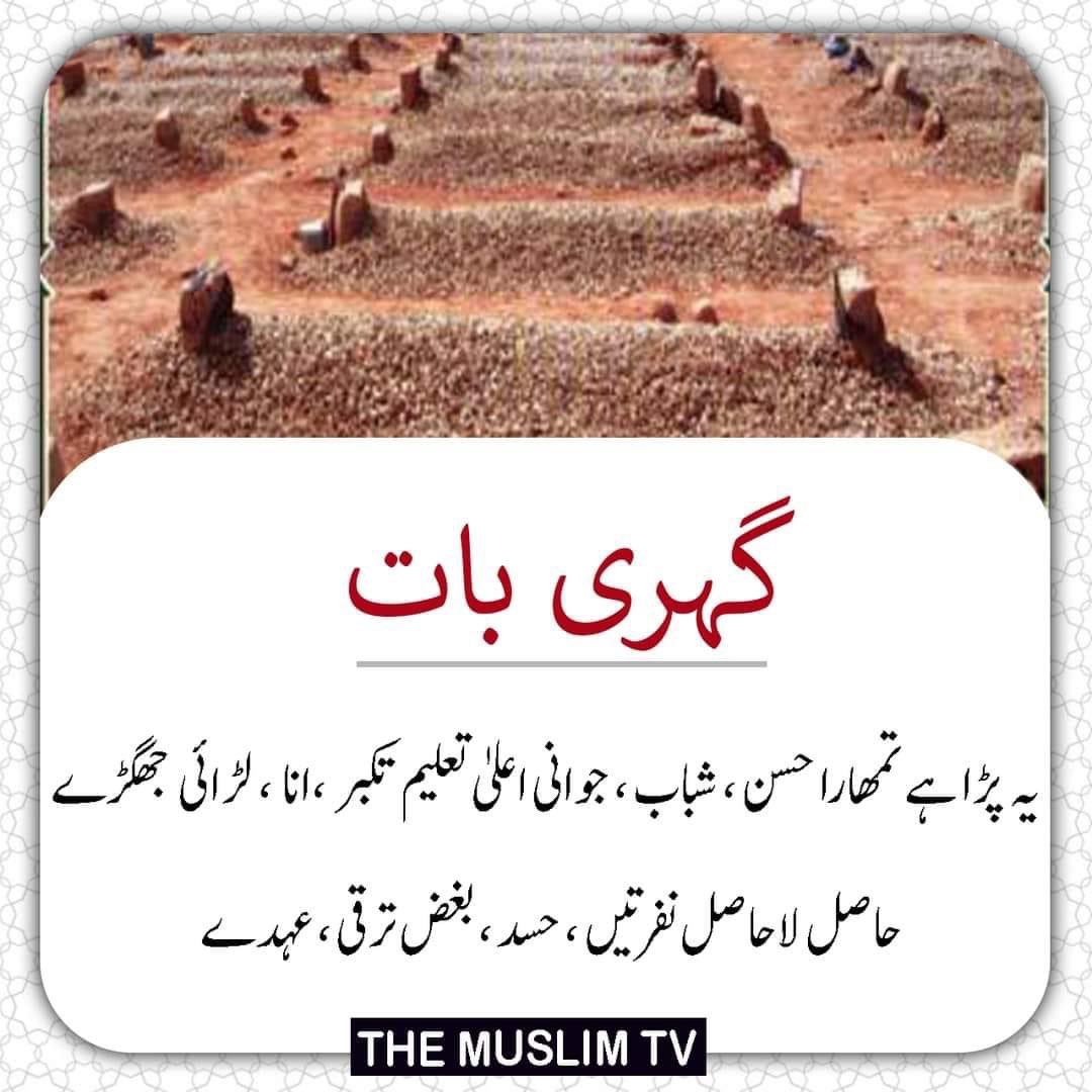 ufarhan38's tweet photo. حقیقت انسان 🙏 https://t.co/kW9rBNOAgy