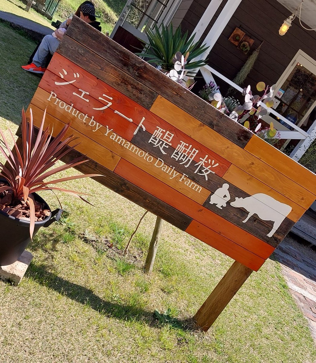 ariki104dan's tweet photo. 花粉と格闘しに行きました。 https://t.co/pAinlwpP1V