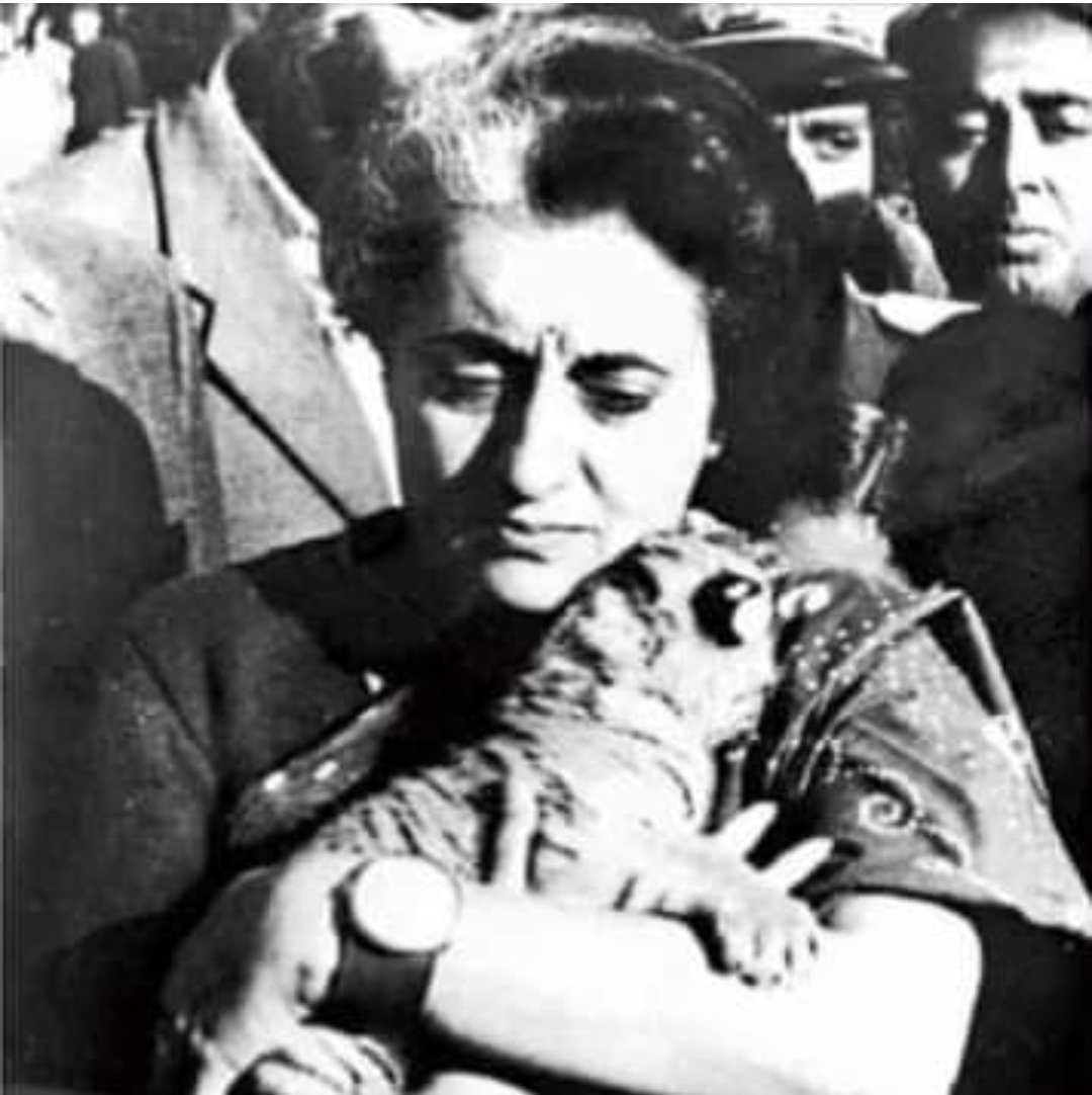 KumbilaHamiz's tweet image. 50ആം വാർഷികം ആഘോഷിക്കുന്ന പ്രൊജക്റ്റ്‌ ടൈഗർ  1973ൽ അന്നത്തെ പ്രധാനമന്ത്രി ഇന്ദിരാ ഗാന്ധി വിഭാവനം ചെയ്ത കടുവാ സംരക്ഷണ പരിപാടിയാണു.. കോട്ടും സൂട്ടും ഇട്ട്‌ ഇന്നാ ചടങ്ങിൽ മുഖ്യാഥിതിയായി എത്തുന്നവർ മനപ്പൂർവ്വം മറക്കുന്ന നാമം

ഇന്ദിരാ ഗാന്ധി &amp;lt;3 

#tigerproject 
#IndiraGandhi