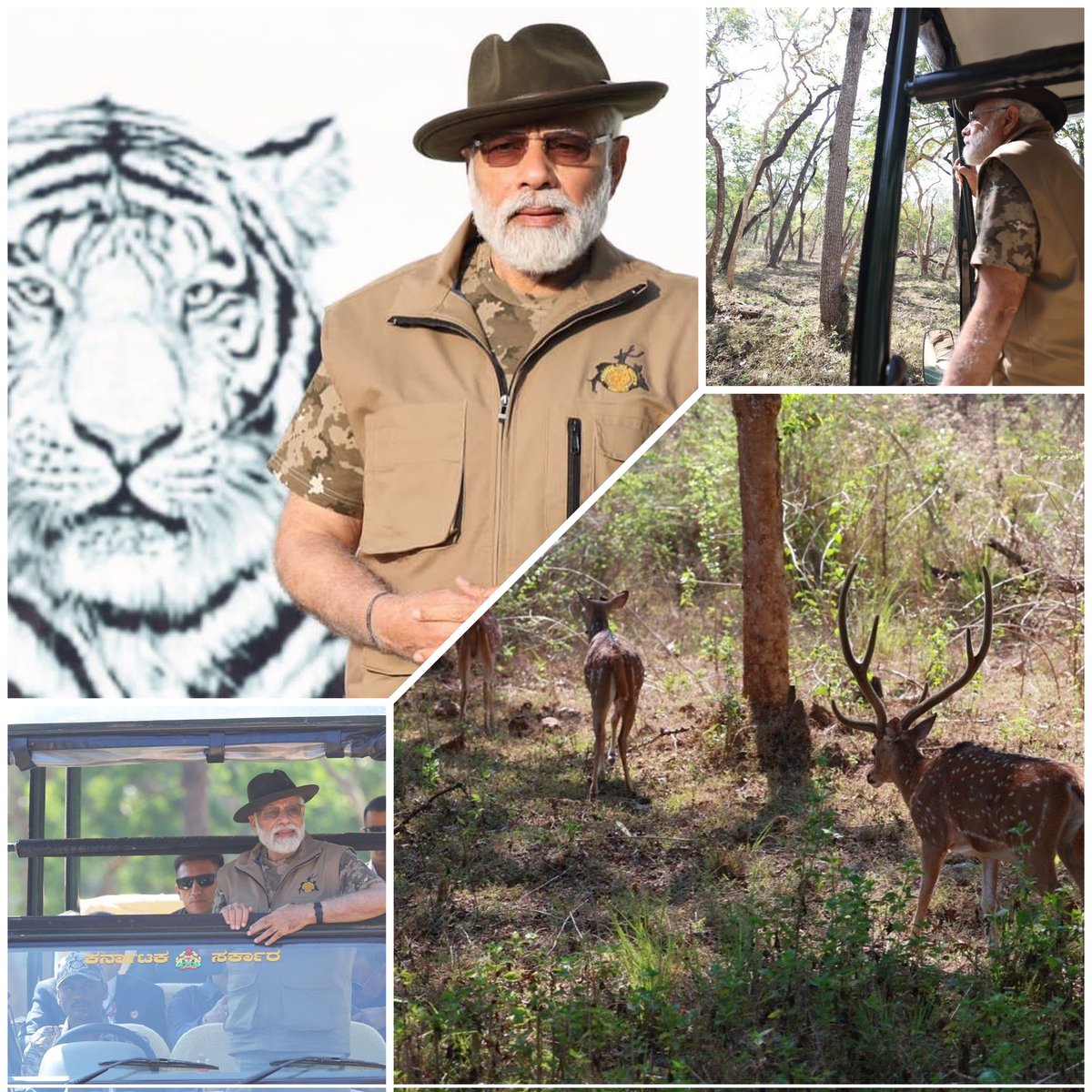 PM Shri @narendramodi ji on the way to the Bandipur and Mudumalai Tiger Reserves.
#BandipurTigerReserve 
#NarendraModi #FORESTELLA_PHOTO #Tigerphotos