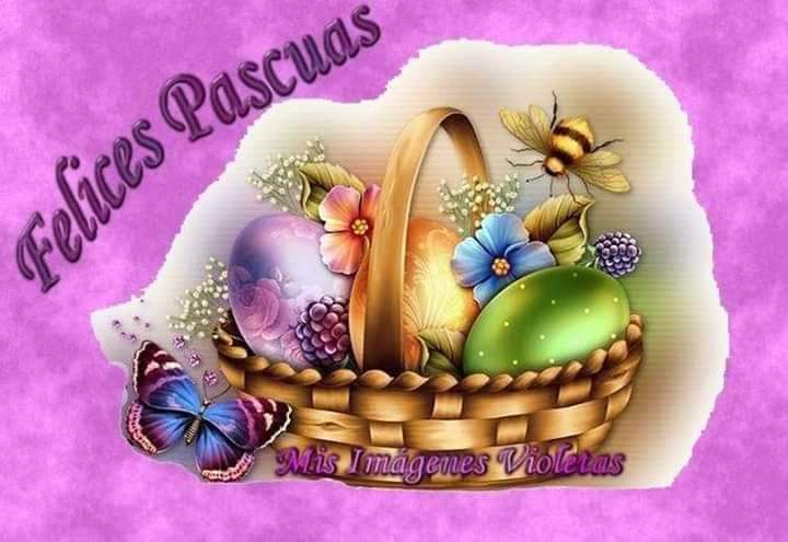 Marisam66's tweet photo. @manoliteu Buen Domingo 🤗🤗 https://t.co/JV2Tt4E1dW